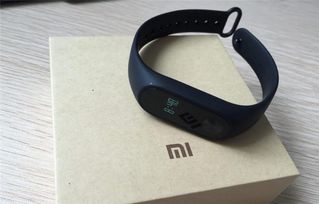 华米新款智能表亮相 儿童智能穿戴领域再添强将